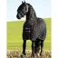 Horseware Rambo 200g Stable Rug - Black/Black/Silver